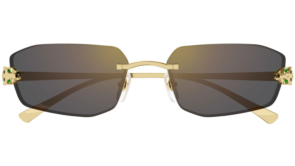 Cartier CT0474S