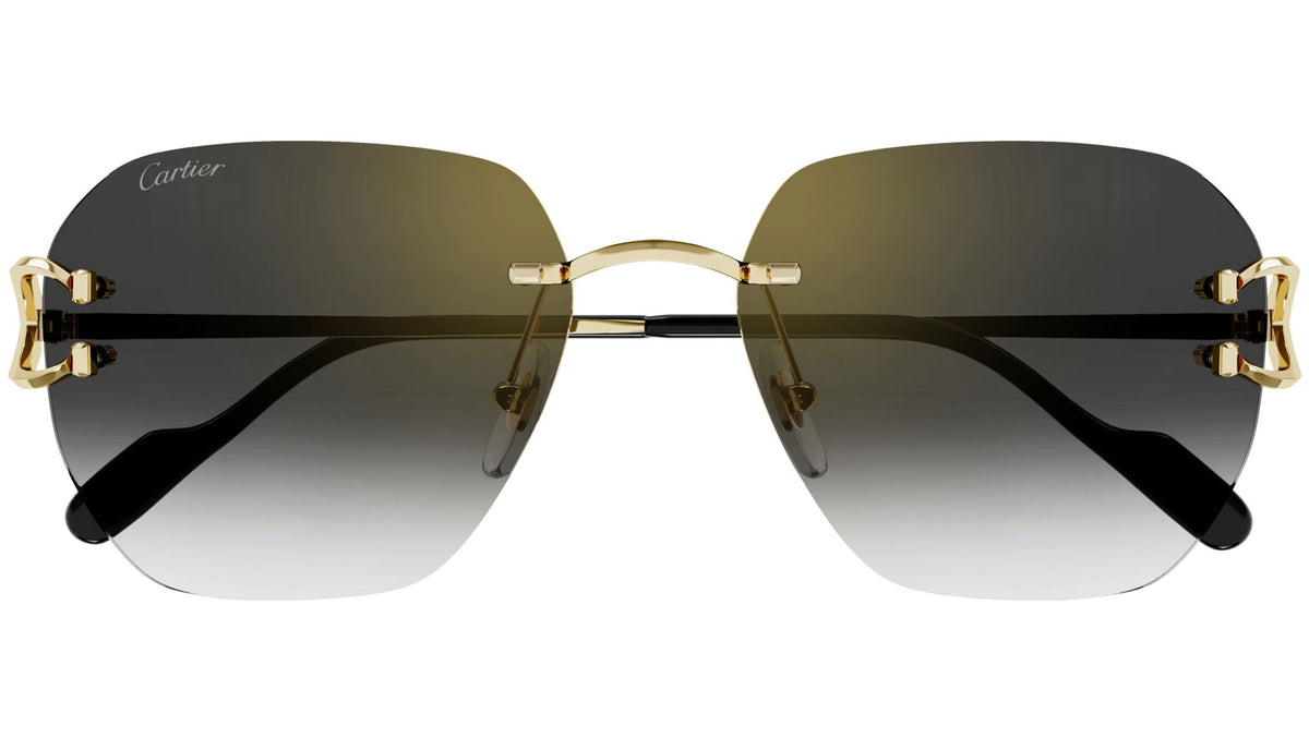 Cartier CT0394S