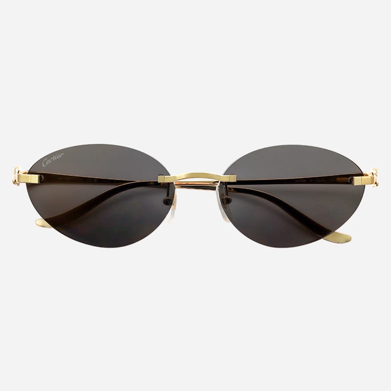 Cartier CT0504S