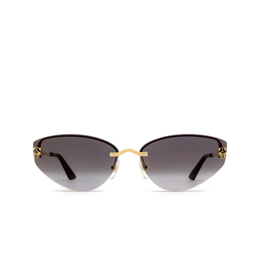 Cartier CT0431S 001