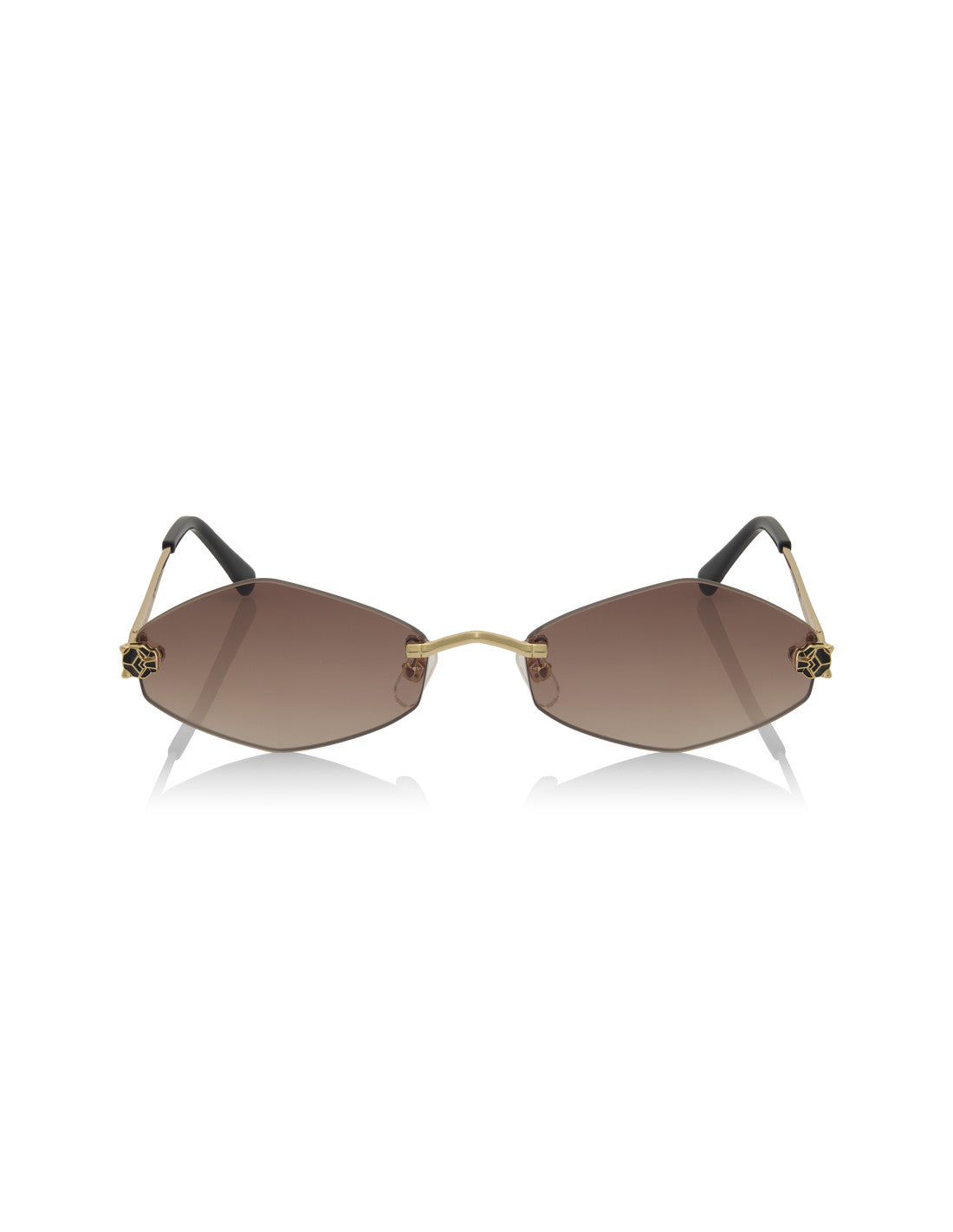 Cartier CT0433S