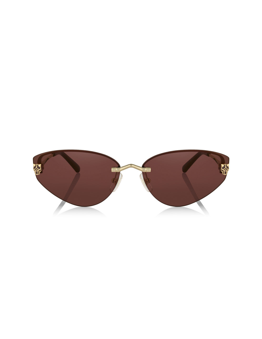 Cartier CT0431S 001