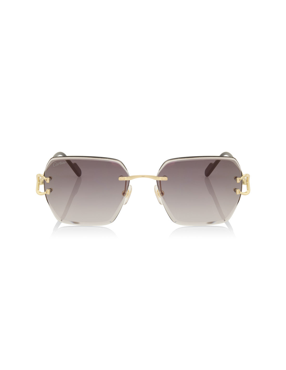 Cartier CT0466S