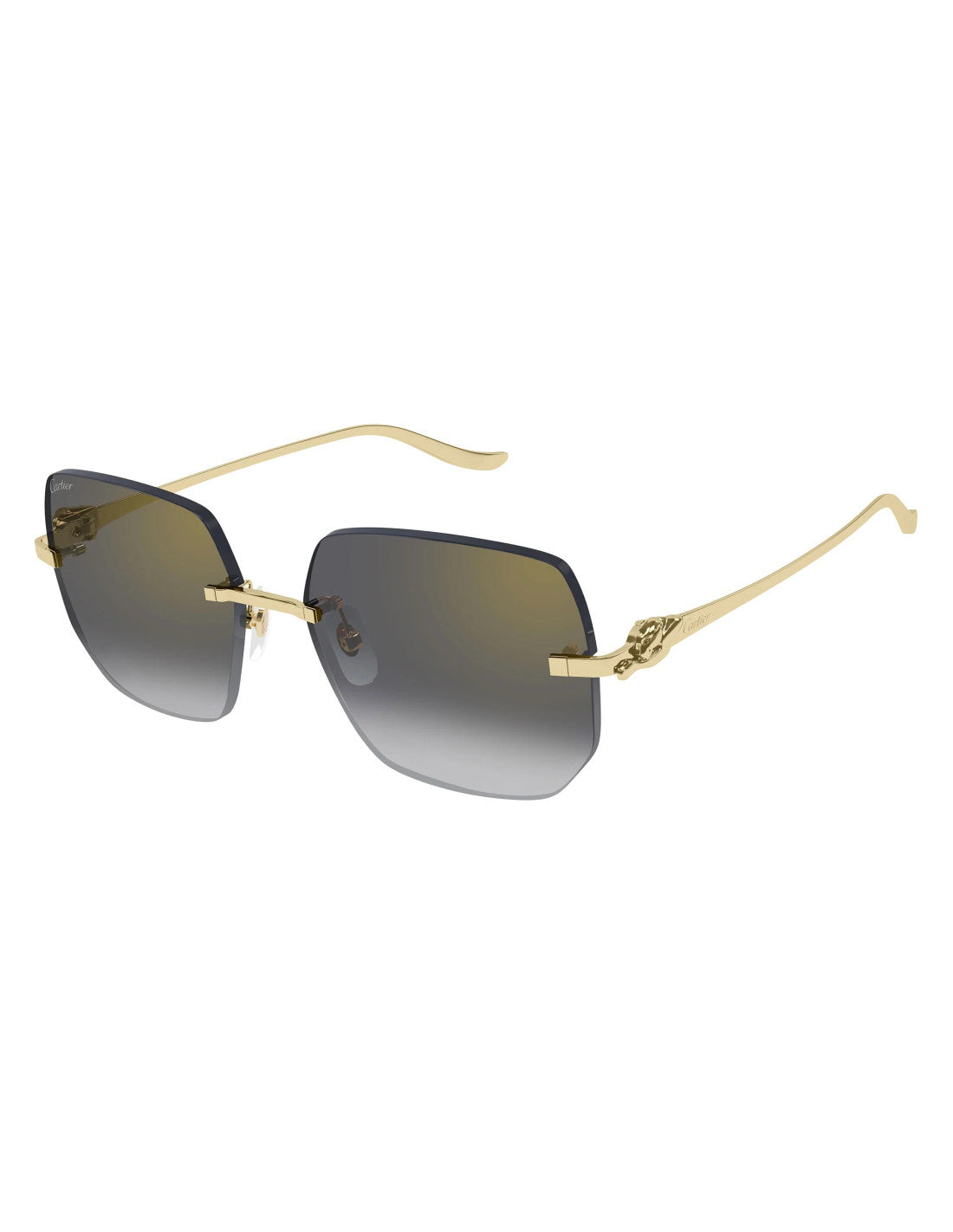 Cartier CT0549S