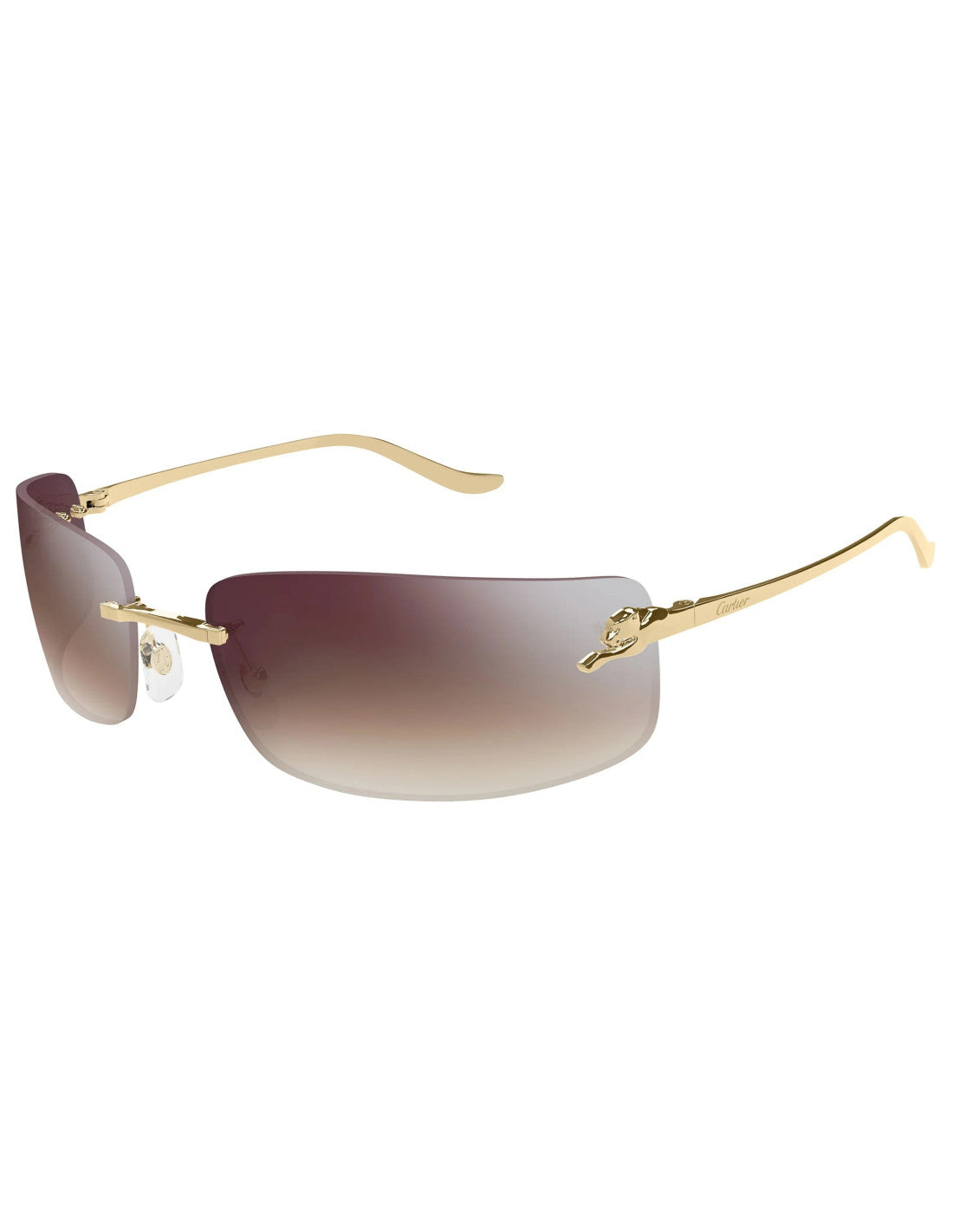Cartier CT0503S