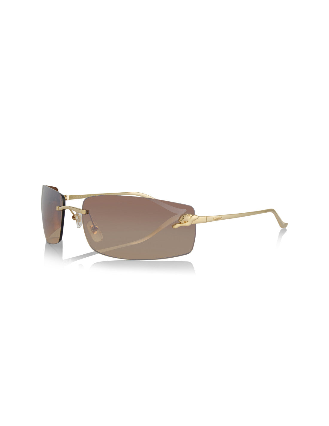 Cartier CT0503S