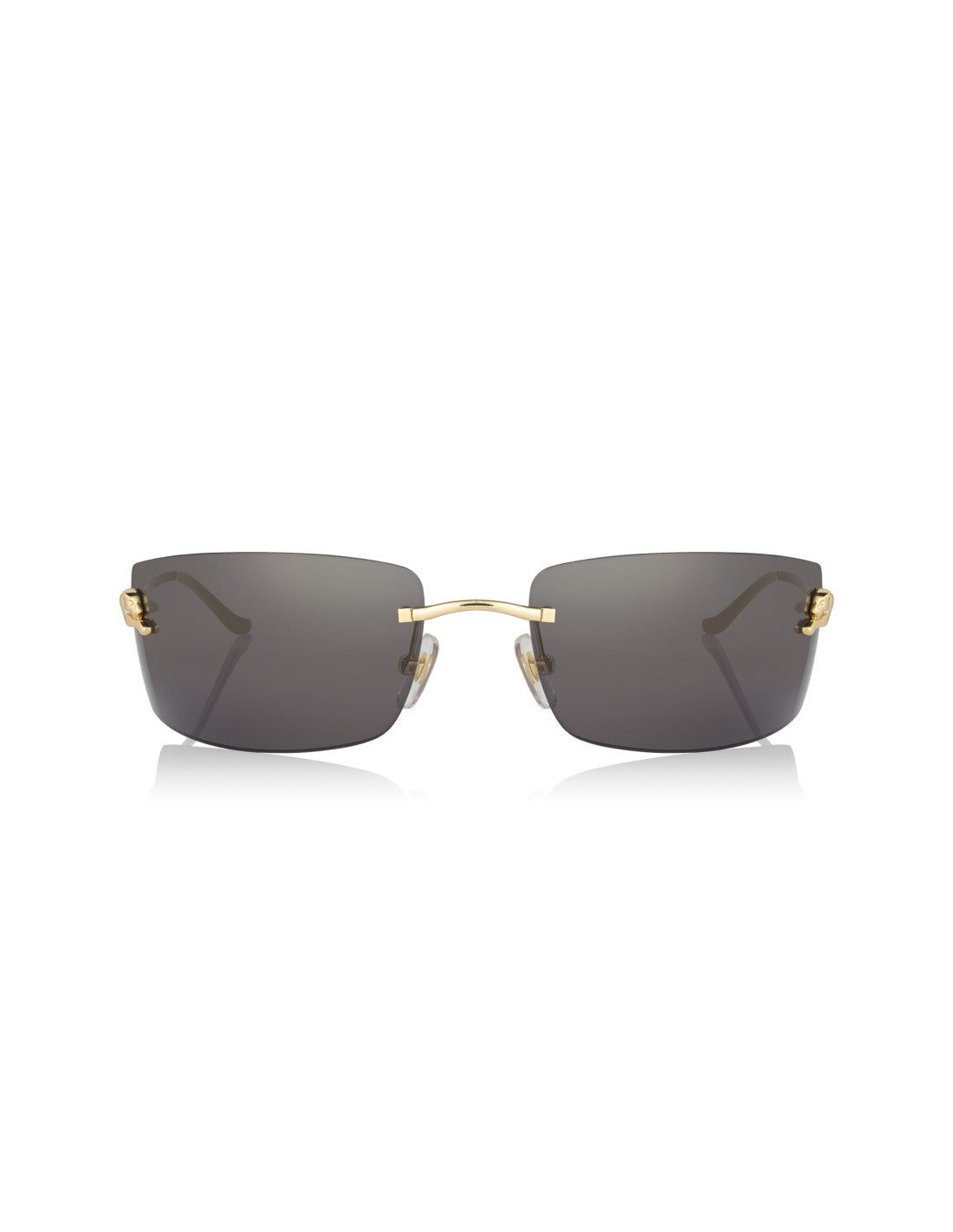 Cartier CT0503S