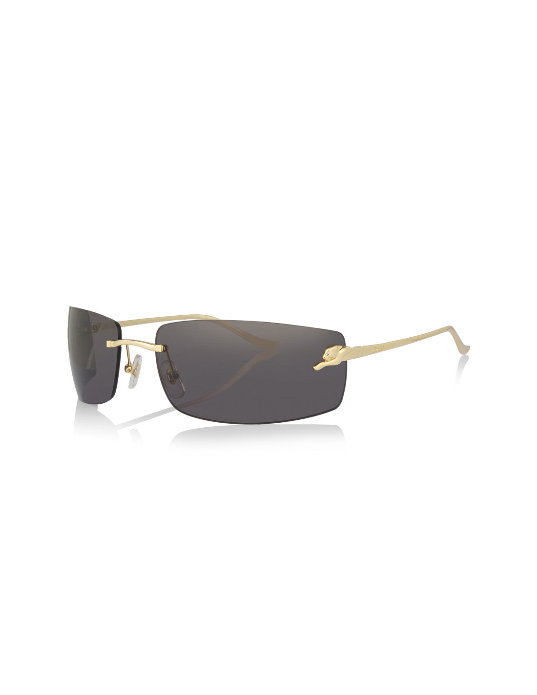 Cartier CT0503S