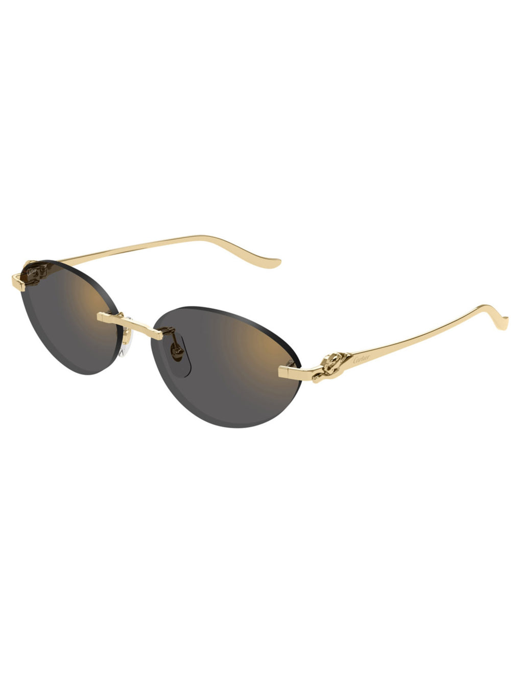Cartier CT0504S