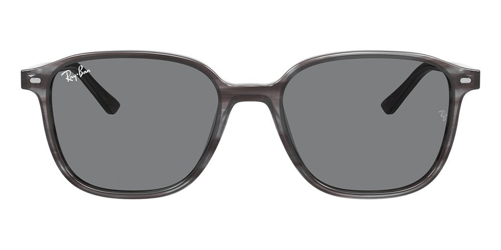 Ray Ban Leonard