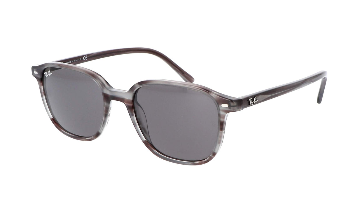 Ray Ban Leonard