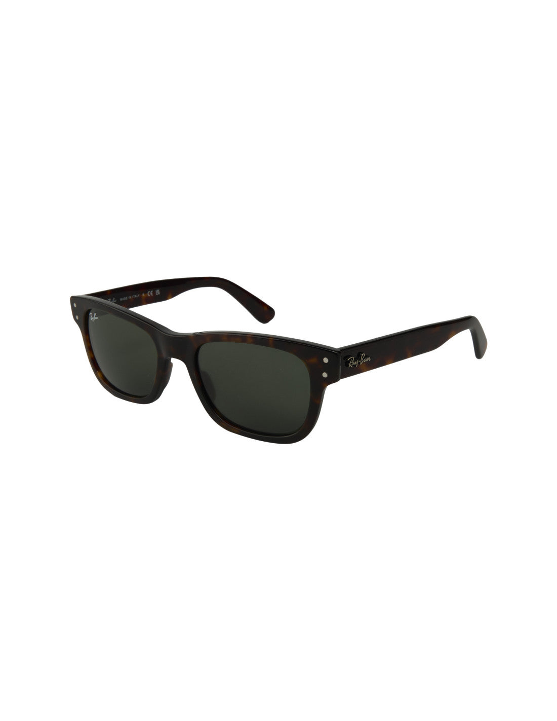 Ray Ban Burbank