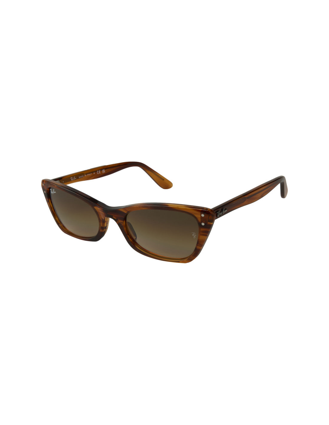 Ray Ban Lady Burbank