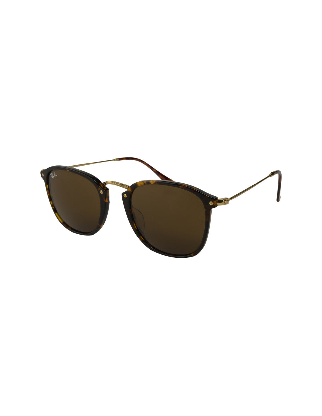Ray Ban Icon