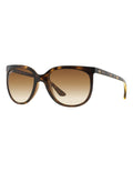 Ray Ban Cats 1000